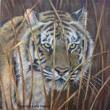 Tiger In The Grass Arcylic Online Class